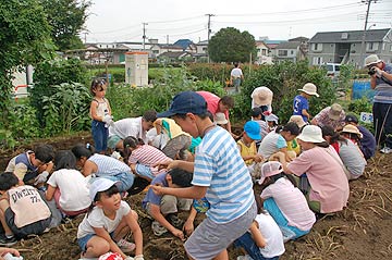 2006じゃがいも収穫祭