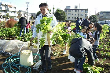 大根ほり