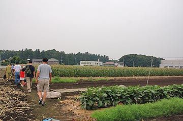 トウモロコシ収穫