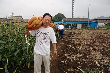 トウモロコシ収穫