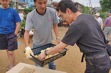 トウモロコシ収穫