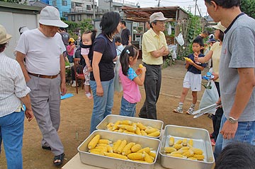 トウモロコシ収穫