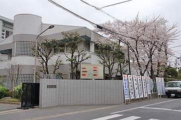 蕨市の桜