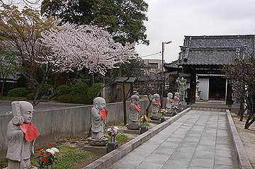 蕨市の桜