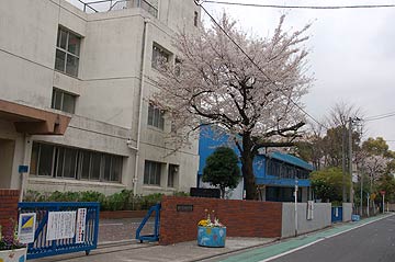 蕨市の桜