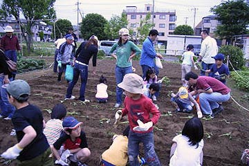 さつまいもの植え付け