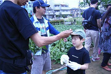 さつまいもの植え付け