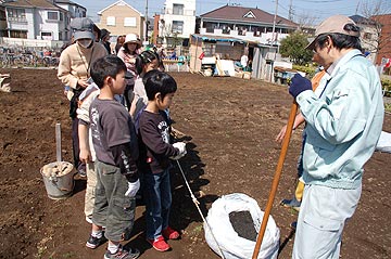 教育ファームじゃがいも植え付け