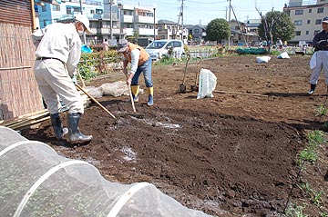 教育ファームじゃがいも植え付け