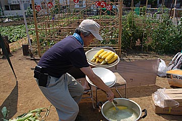 じゃがいも収穫